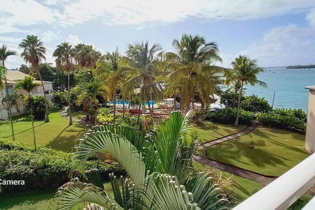 Appartement A 50m De La En Centre-ville *
